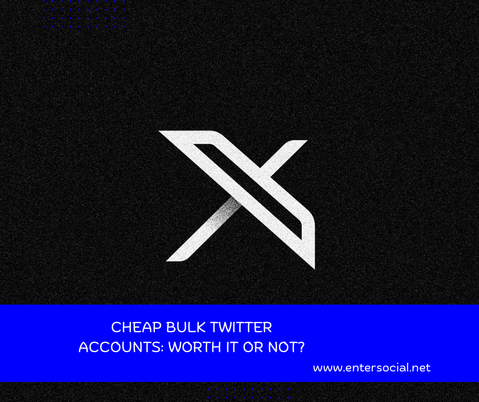 Cheap Bulk Twitter Accounts Worth It or Not
