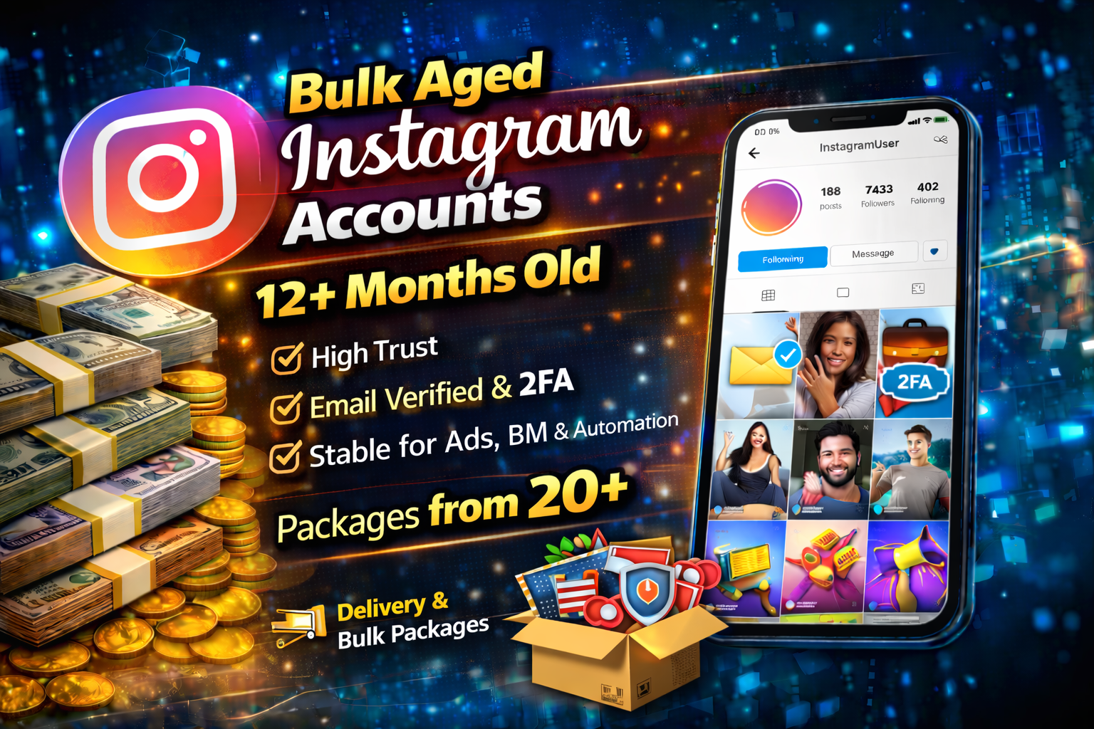 Bulk Aged Instagram Accounts